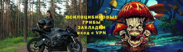 PSILOCYBIN Богородск